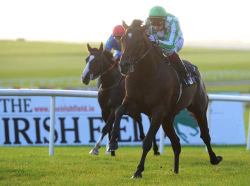Declaration Of War powers clear at the Curragh