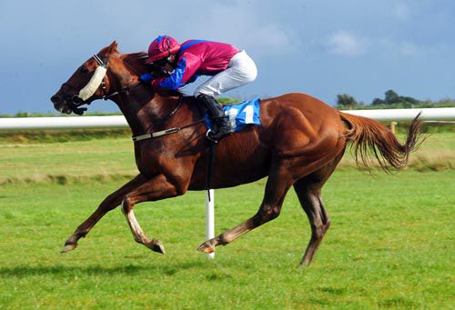 Hurricane Twister and Gary Phillips on their way to victory