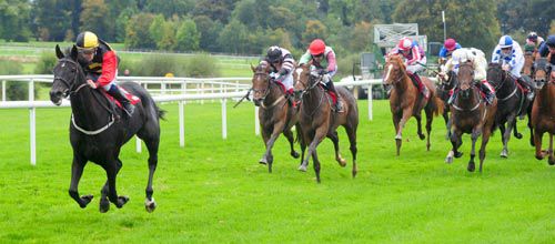 Shu Lewis in command under Shane Gorey