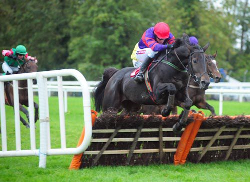 Sea Stallion clears the last