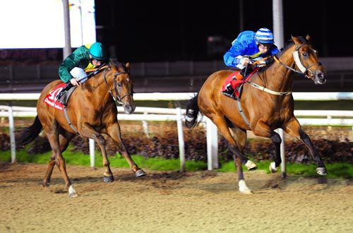 Raydari scores from Denis Of Kerry