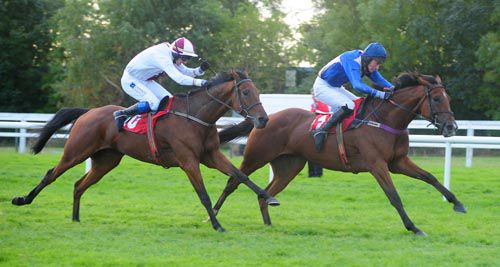 Pay The King (right) gets the better of Minella Hero
