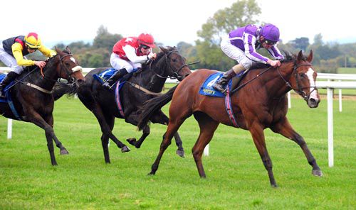 Leading Light gets on top at Tipperary 