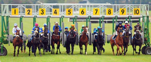 Runners break from the stalls for the Oran Maiden with winner Coilogshakeysirgin breaking from stall No 5
