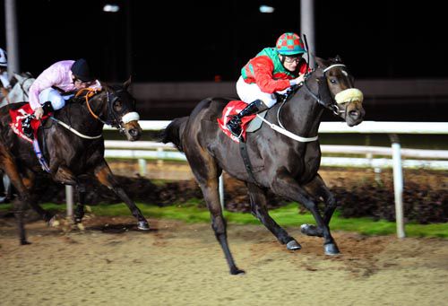 Via Ballycroy and Shane Foley have Brown Butterfly beaten at Dundalk