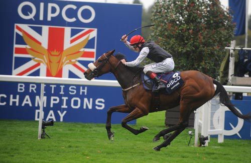 ASCOT 20 10 2012 SAPPHIRE and Pat Smullen winning for trainer Dermot Weld 