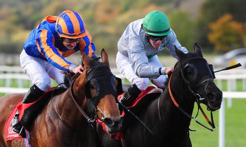 Chrysanthemum (left) defeats Barack