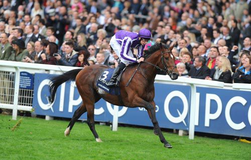 The Breeders Cup Mile is on the Agenda for Excelebration