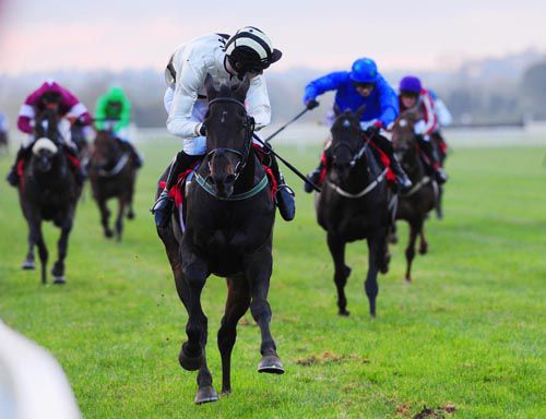 Kevin Power is clear on Elegant Statesman at Cork