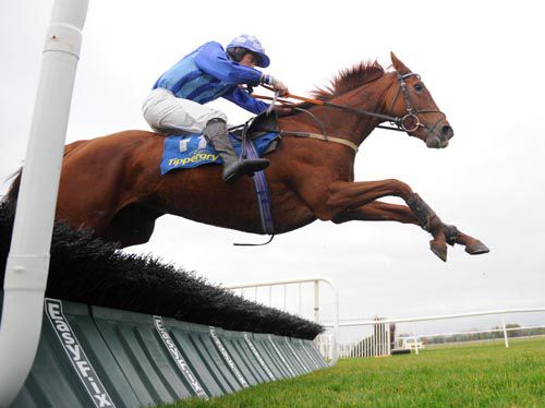 Vic Chic clears the last under Martin Ferris on her way to victory for trainer Julie Weston