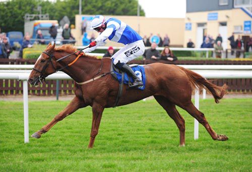 Moscow Chief & Robbie McNamara on their way to success in the bumper