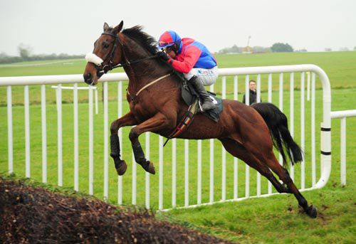 The Terence O Brien-trained Farrells Fancy