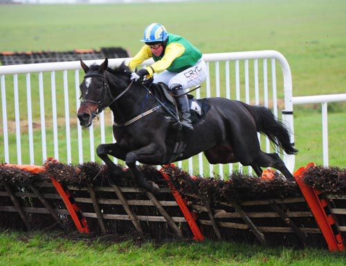 Cool Oscar and Declan Queally were stylish winners at Thurles