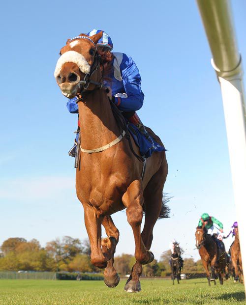The Dermot Weld-trained Rasmeyaa