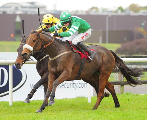 Coole Avenue, right, gets up to beat Caduceus at Galway