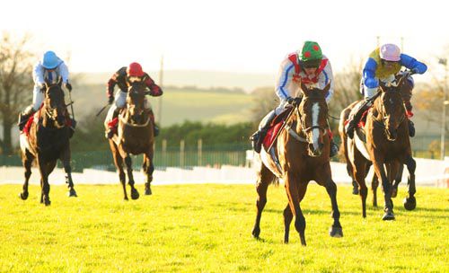 Selection Box is clear under Paddy Mangan