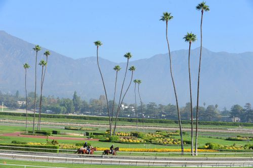 Santa Anita