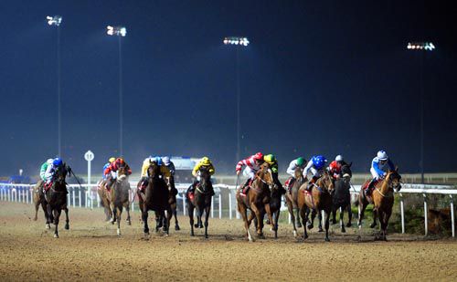 Runners race under the lights at Dundalk