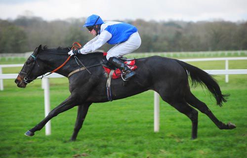 Que Pasa & Pa King on their way to victory