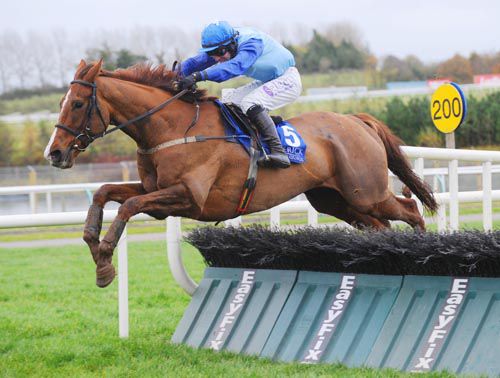 Steady Ed jumps the last under Brian O'Connell
