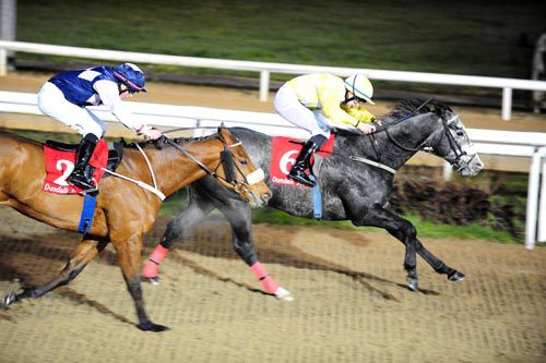 The Tracey Collins-trained Captain Joy winning at Dundalk