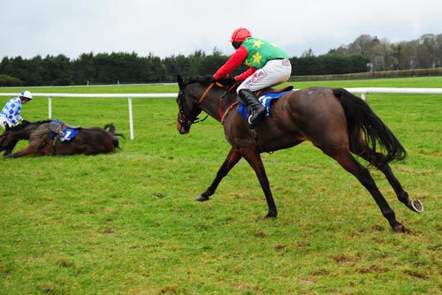 Dream Function took advantage of Cadspeed's fall at Clonmel's final fence
