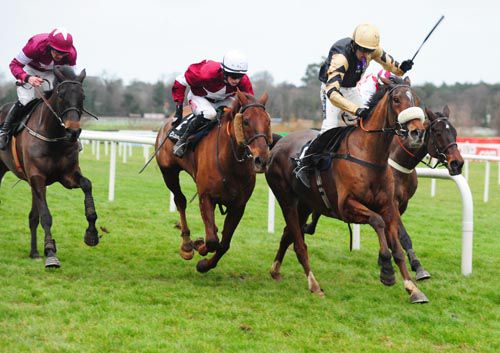 Tidal Bay, Flemenstar (partly hidden) and Sir Des Champs are all in Hennessy contention