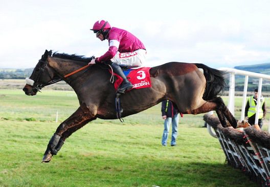 Tony Martin sends Bog Warrior over for the French Grade One 
