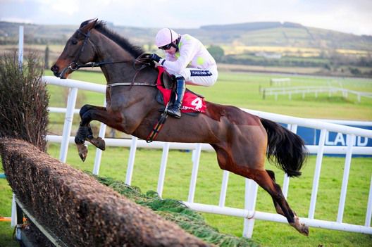 The Willie Mullins trained Vesper Bell is among the entries 