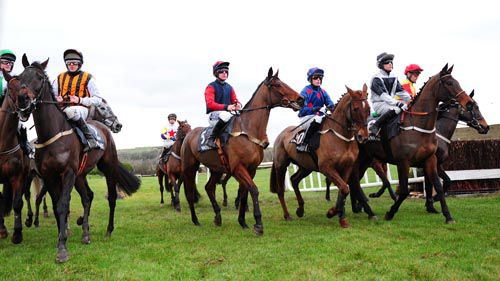 Horses circle at the start - winner Unoccupied is in the red sleeves