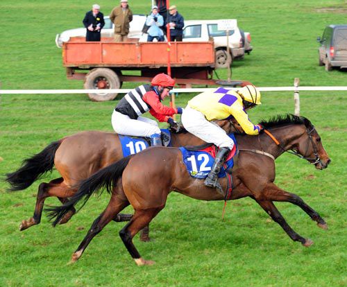 Dashing Lady just holds on from Corporate Box at Killeagh