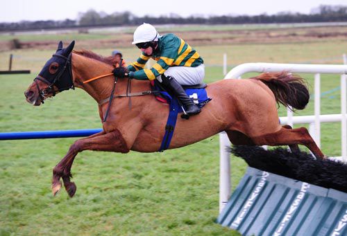 Defy Logic and Mark Walsh in full flow at Fairyhouse