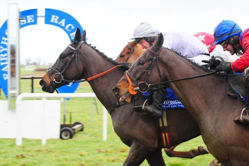Fairyhouse - dead ground