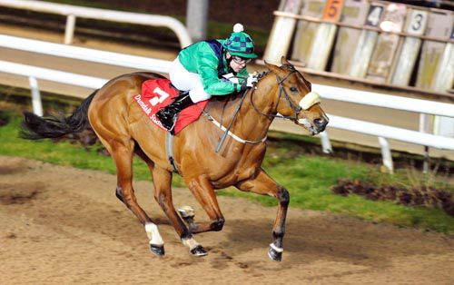 He may be small but Have A Nice Day has an engine as he showed at Dundalk tonight