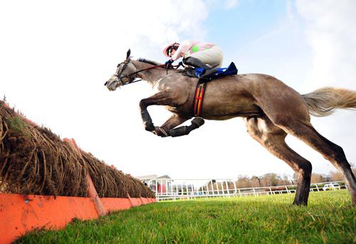 It's lift off over fences for Champagne Fever today