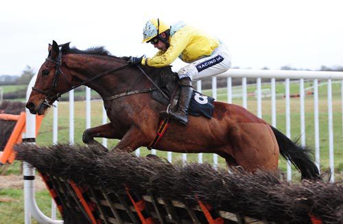Rolly Baby and Ruby Walsh