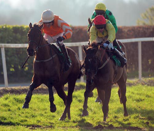 Buckers Bridge (right) and Twinlight battle it out