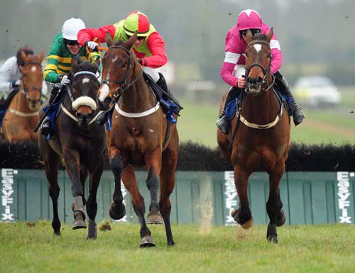 Art Of Logistics gets the better of Midnight Oil (right) and Waaheb (left)