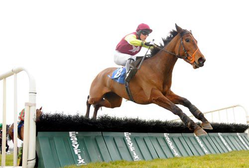 Royal Flight and Jody McGarvey 