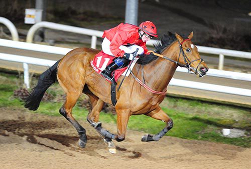 Bualadh Croi and Ian Brennan 