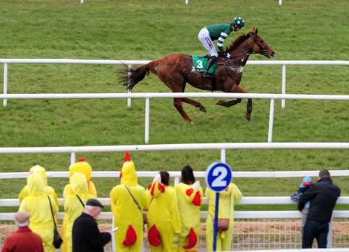 Rockyaboya wins for owner Patrick Mullins as colourful racegoers watch on