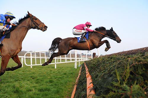 Savello and Davy Russell