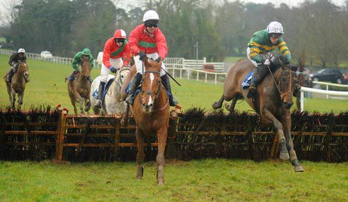 Speckled Wood (right) challenges Lead Kindly Light at the last