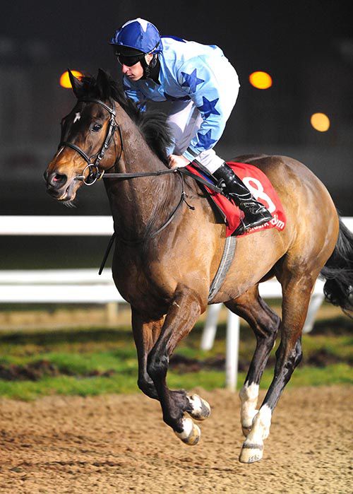 A fine shot of He's Got Rhythm and Sam James