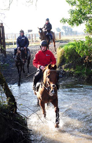 Jessies Dream & Jamie Codd after galloping at Cullentra Stables 