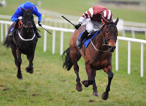 Rich Revival is driven out by Brian O'Connell with eventual third Rare Bob behind