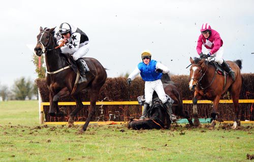 Chute Hall (black and white) can go well for Punchestown boss Dick O'Sullivan in the finale