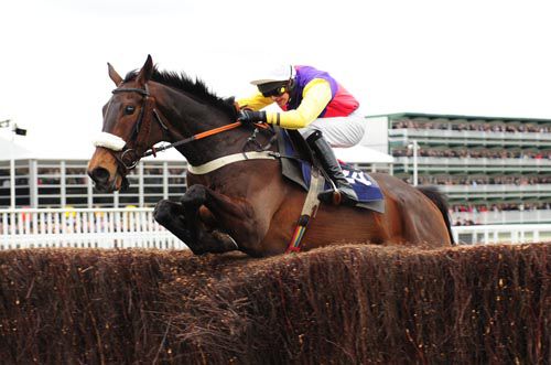 Golden Chieftain and Brendan Powell