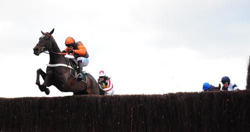 Rajdhani Express jumps the last on his way to victory at the Cheltenham Festival in March