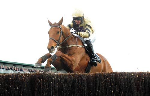 Cheltenham 13-3-13 BACK IN FOCUS & Patrick Mullins Jump The last To Win The 4 Mile National Hunt Steeplechase.(Photo HEALY RACING)